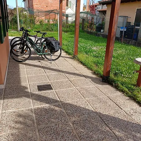 Ca Silvy